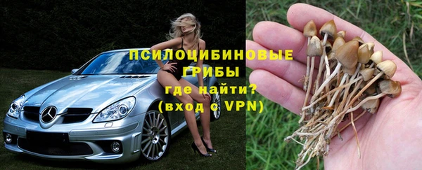 героин Алзамай